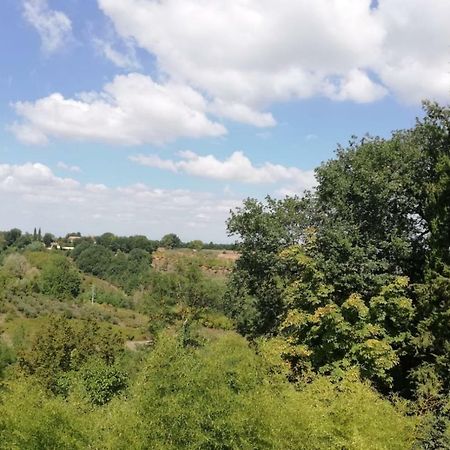 Nel Chianti Lungo La Francigena Lägenhet Colle Val D'Elsa Exteriör bild