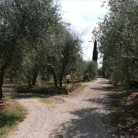 Nel Chianti Lungo La Francigena Lägenhet Colle Val D'Elsa Exteriör bild