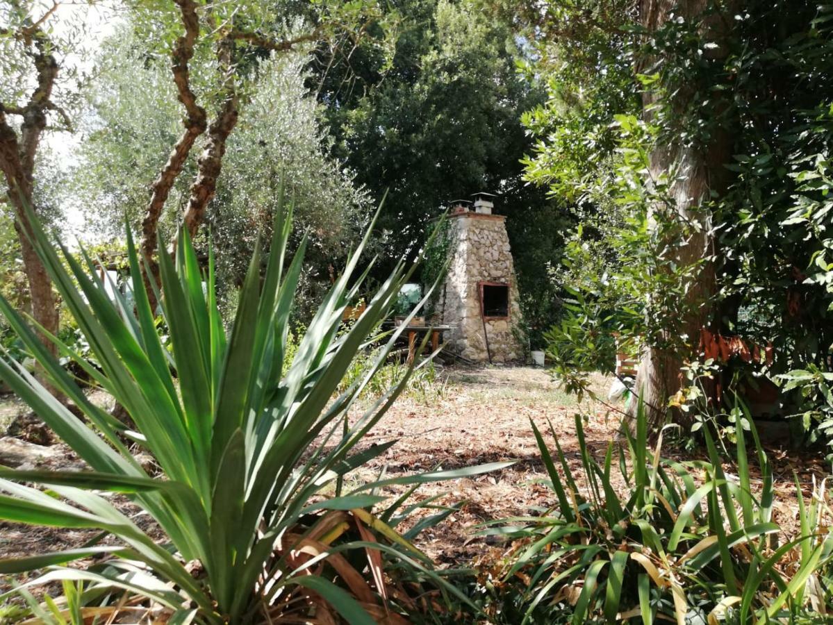 Nel Chianti Lungo La Francigena Lägenhet Colle Val D'Elsa Exteriör bild