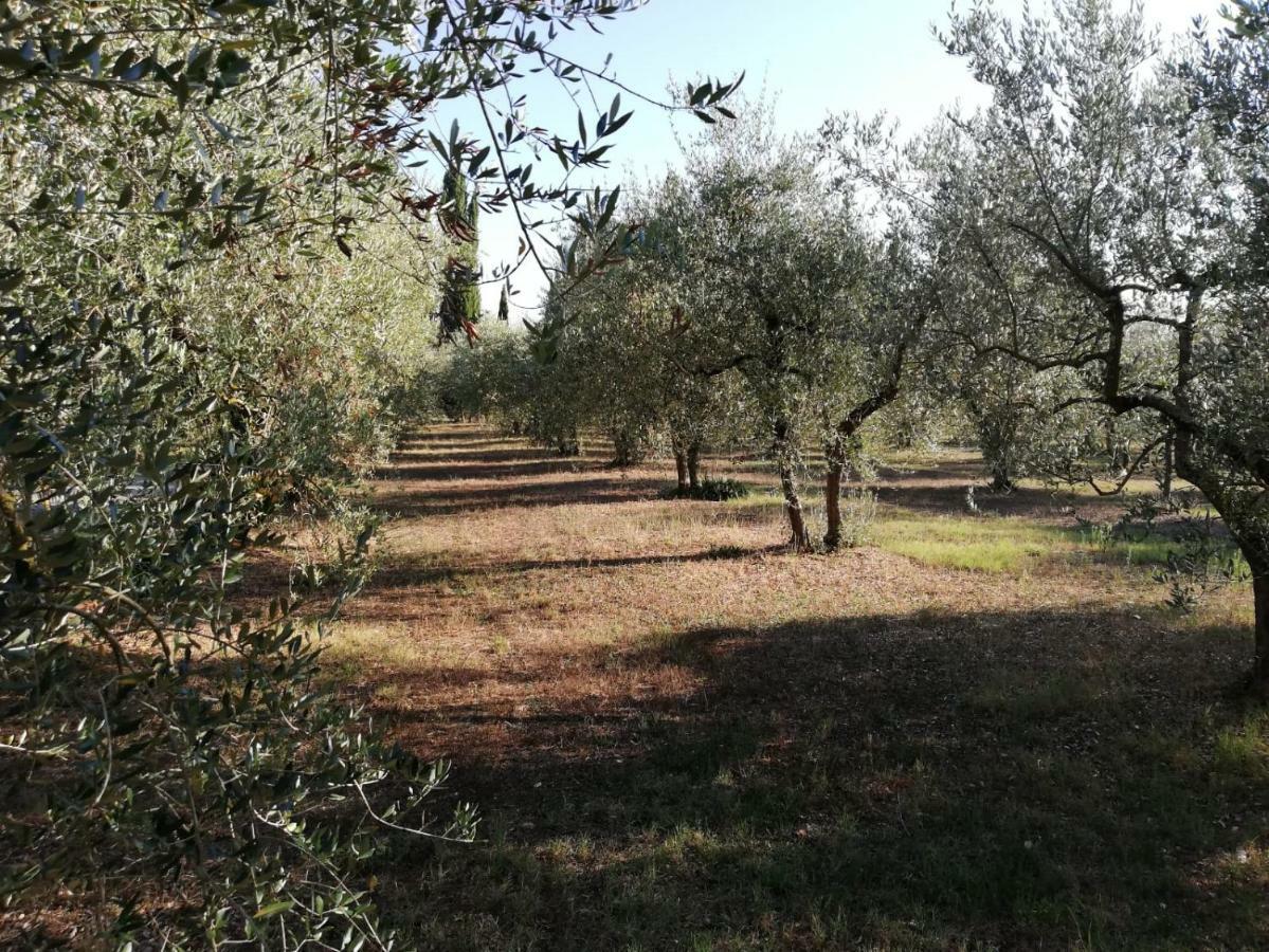 Nel Chianti Lungo La Francigena Lägenhet Colle Val D'Elsa Exteriör bild