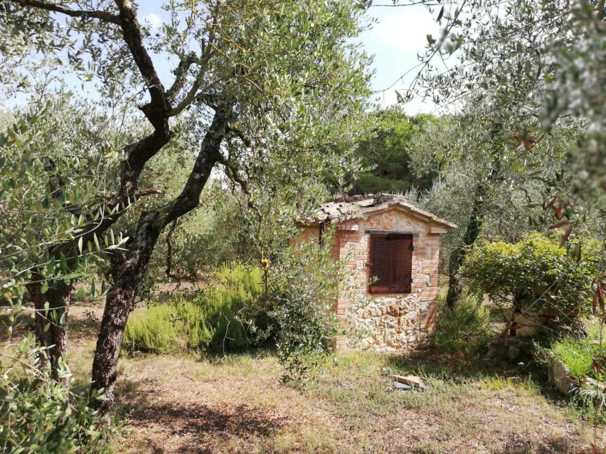 Nel Chianti Lungo La Francigena Lägenhet Colle Val D'Elsa Exteriör bild