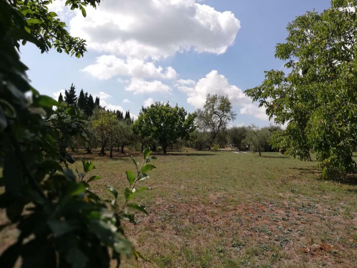 Nel Chianti Lungo La Francigena Lägenhet Colle Val D'Elsa Exteriör bild