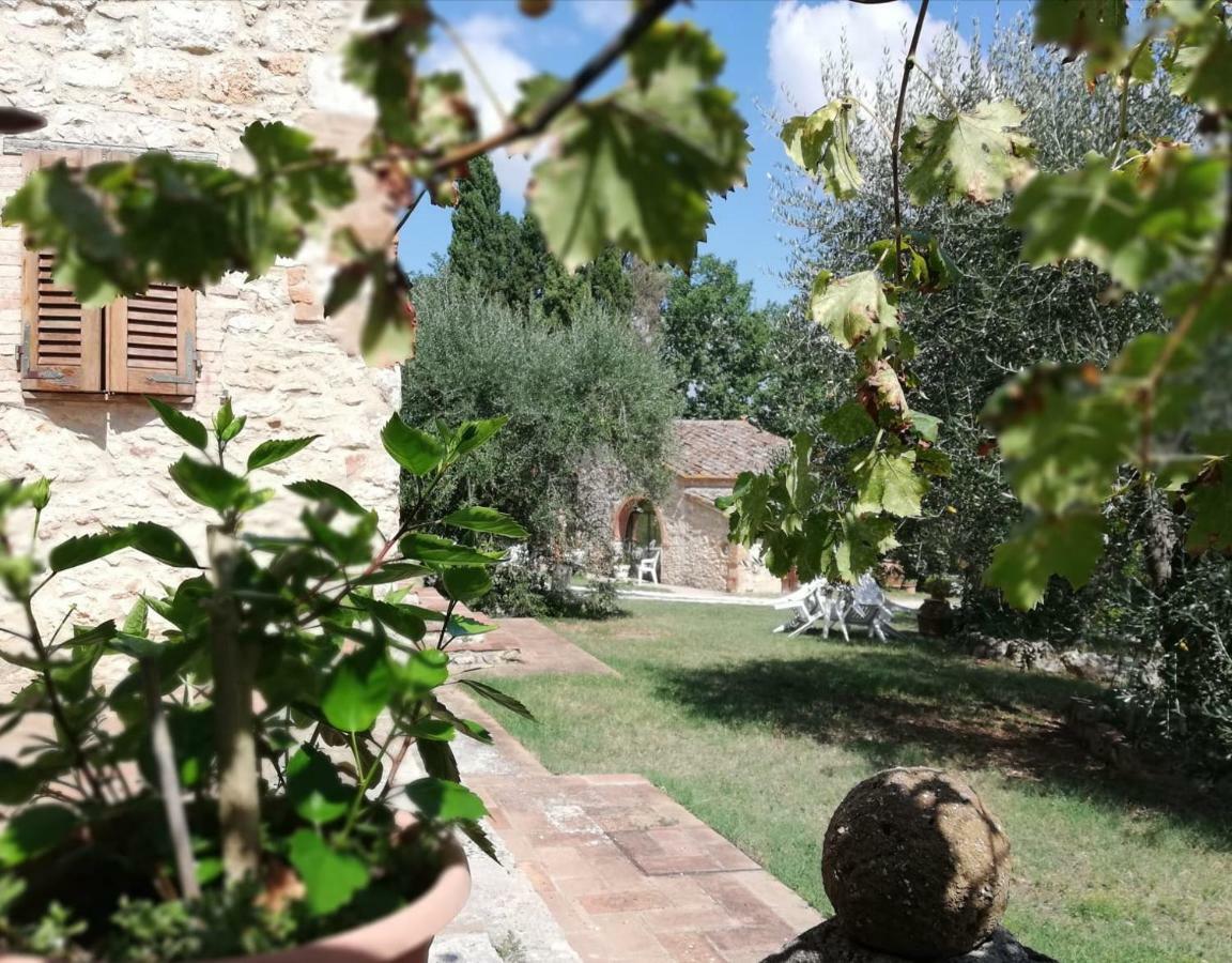 Nel Chianti Lungo La Francigena Lägenhet Colle Val D'Elsa Exteriör bild