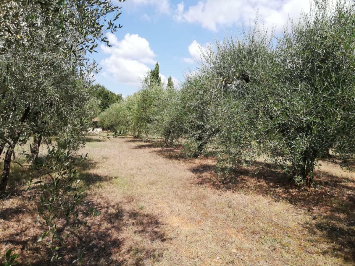 Nel Chianti Lungo La Francigena Lägenhet Colle Val D'Elsa Exteriör bild