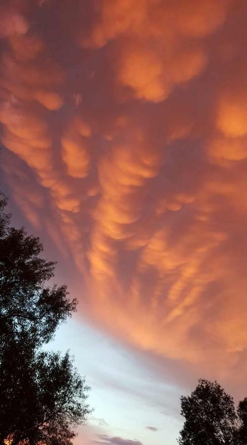Nel Chianti Lungo La Francigena Lägenhet Colle Val D'Elsa Exteriör bild