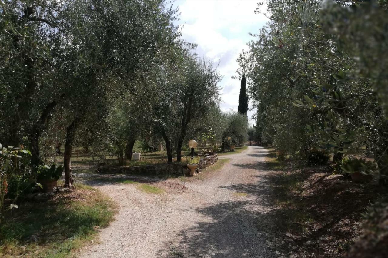Nel Chianti Lungo La Francigena Lägenhet Colle Val D'Elsa Exteriör bild