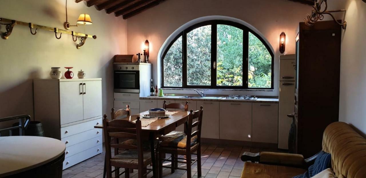 Nel Chianti Lungo La Francigena Lägenhet Colle Val D'Elsa Exteriör bild